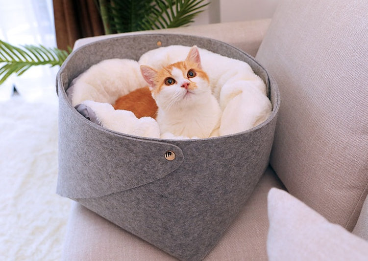 All-Season Detachable Cat Bed House | Windproof Winter Cat Cave with Removable Washable Nest