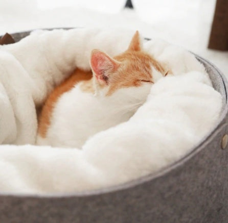 All-Season Detachable Cat Bed House | Windproof Winter Cat Cave with Removable Washable Nest