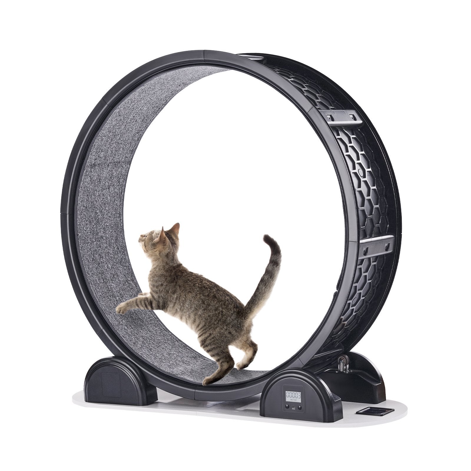 Smart Cat Exercise Wheel with Distance Tracker | Pedometer Cat Treadmill for Large Cats